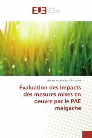 Évaluation des impacts des mesures mises en oeuvre par le PAE malgache