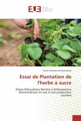 Essai de Plantation de l'herbe à sucre