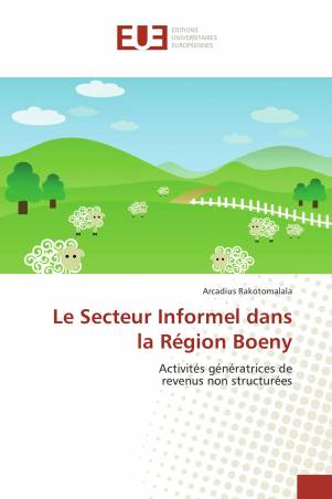 Le Secteur Informel dans la Région Boeny