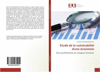 Etude de la vulnérabilité d'une économie