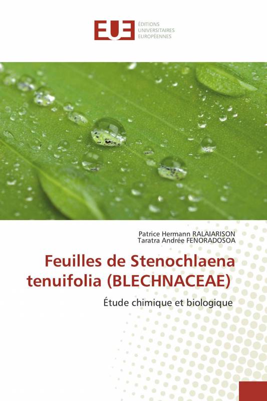 Feuilles de Stenochlaena tenuifolia (BLECHNACEAE)