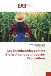 Les Rhizobacéries comme Biofertilisant pour booster l'agriculture