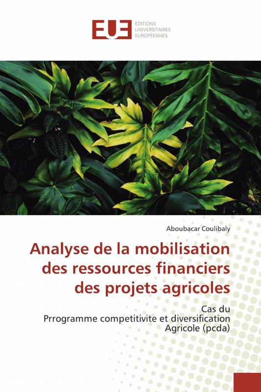 Analyse de la mobilisation des ressources financiers des projets agricoles