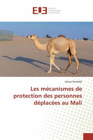 Les mécanismes de protection des personnes déplacées au Mali