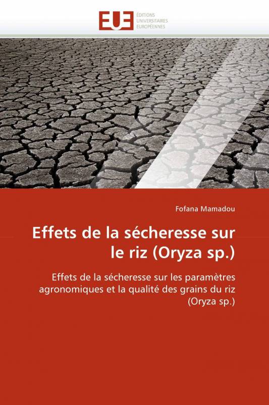 Effets de la sécheresse sur le riz (Oryza sp.)