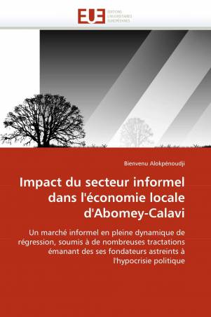 Impact du secteur informel dans l&#039;économie locale d&#039;Abomey-Calavi