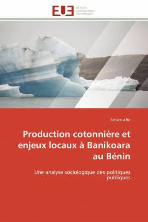 Production cotonnière et enjeux locaux à Banikoara au Bénin