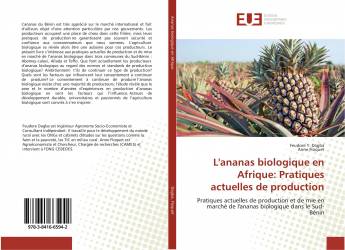 L'ananas biologique en Afrique: Pratiques actuelles de production