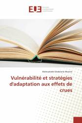 Vulnérabilité et stratégies d'adaptation aux effets de crues