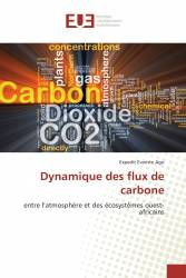 Dynamique des flux de carbone