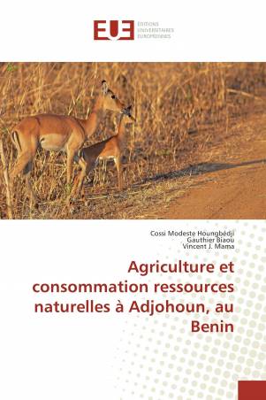 Agriculture et consommation ressources naturelles à Adjohoun, au Benin