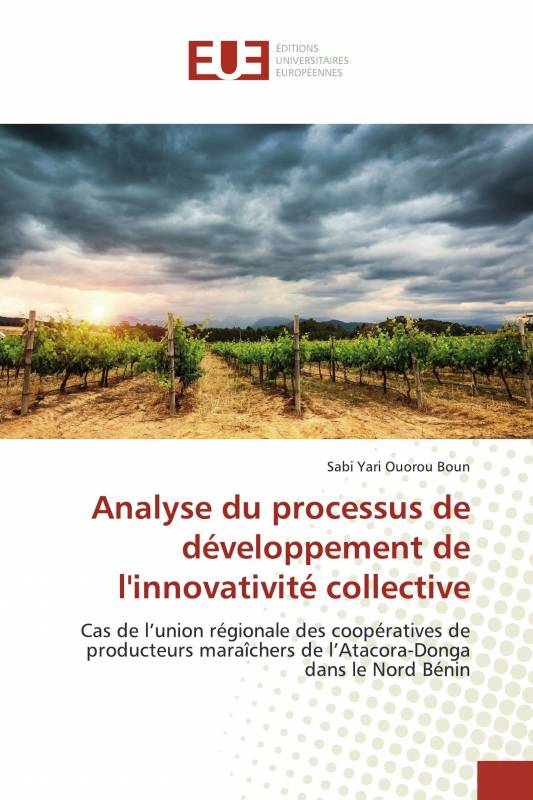 Analyse du processus de développement de l'innovativité collective