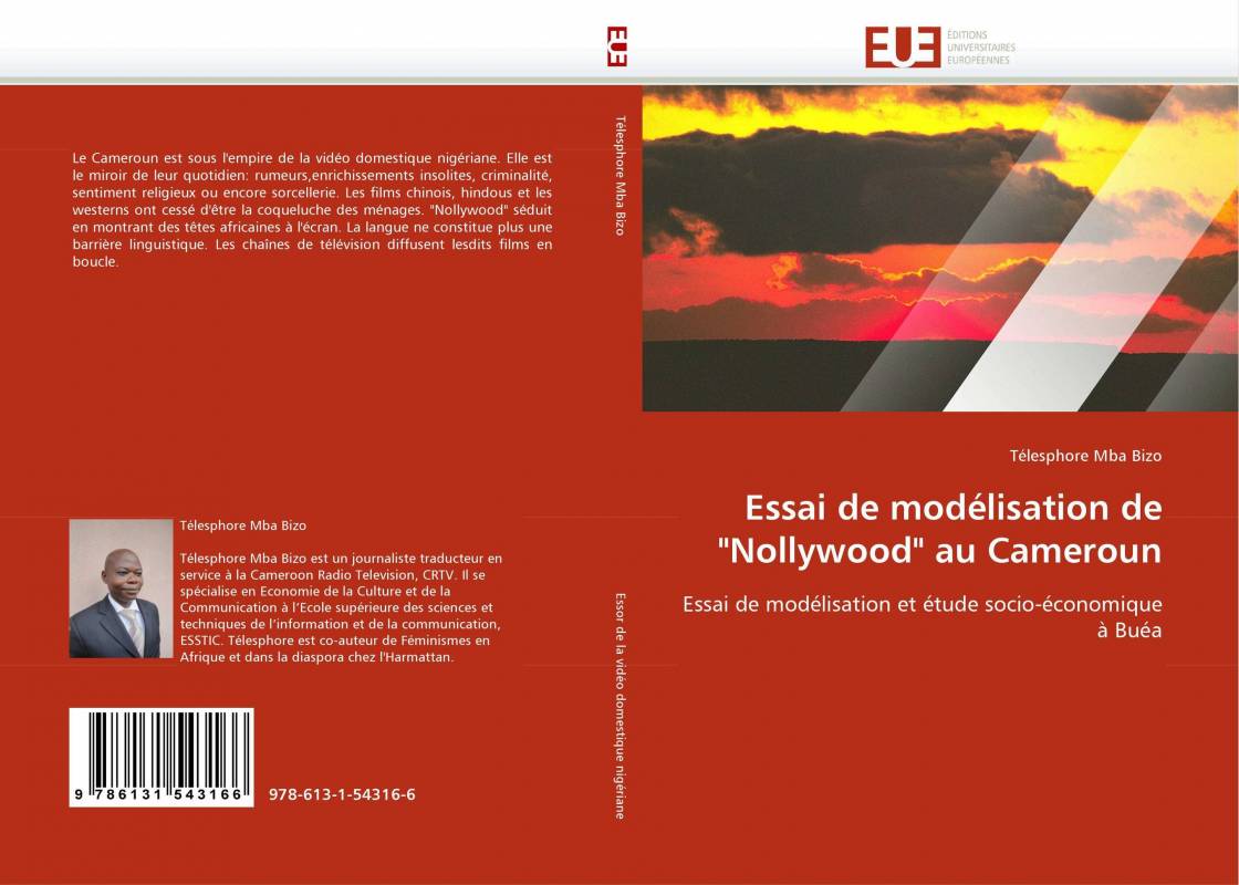 Essai de modélisation de "Nollywood" au Cameroun