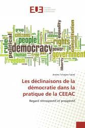 Les déclinaisons de la démocratie dans la pratique de la CEEAC
