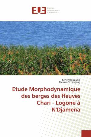 Etude Morphodynamique des berges des fleuves Chari - Logone à N'Djamena