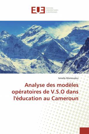 Analyse des modèles opératoires de V.S.O dans l'éducation au Cameroun