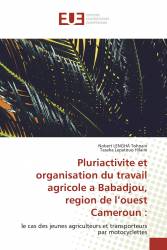 Pluriactivite et organisation du travail agricole a Babadjou, region de l’ouest Cameroun :