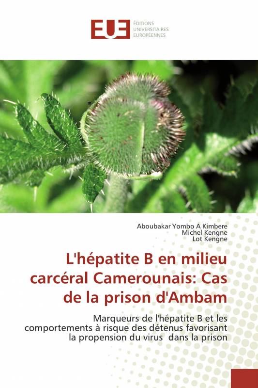L'hépatite B en milieu carcéral Camerounais: Cas de la prison d'Ambam