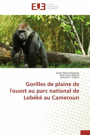 Gorilles de plaine de l&#039;ouest au parc national de Lobéké au Cameroun