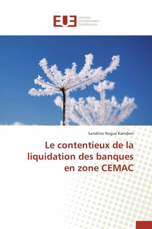 Le contentieux de la liquidation des banques en zone CEMAC
