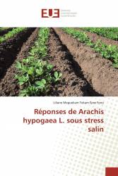 Réponses de Arachis hypogaea L. sous stress salin