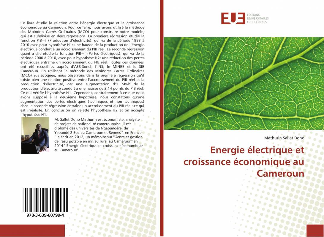 Energie électrique et croissance économique au Cameroun