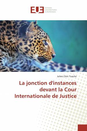 La jonction d'instances devant la Cour Internationale de Justice