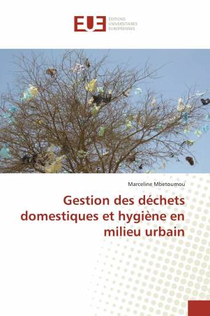 Gestion des déchets domestiques et hygiène en milieu urbain