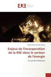 Enjeux de l'incorporation de la RSE dans le secteur de l'énergie