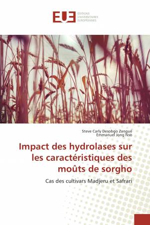 Impact des hydrolases sur les caractéristiques des moûts de sorgho