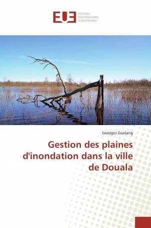 Gestion des plaines d'inondation dans la ville de Douala