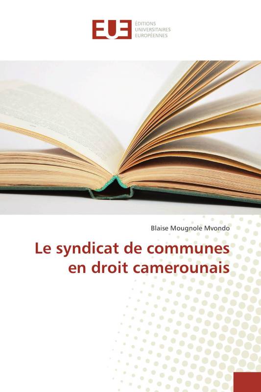 Le syndicat de communes en droit camerounais