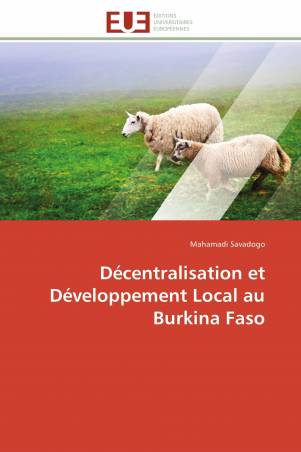 Décentralisation et Développement Local au Burkina Faso