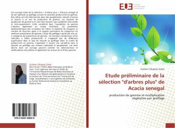 Etude préliminaire de la sélection "d'arbres plus" de Acacia senegal