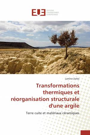 Transformations thermiques et réorganisation structurale d'une argile