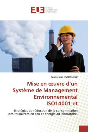 Mise En œuvre Dun Système De Management Environnemental Iso14001 Et