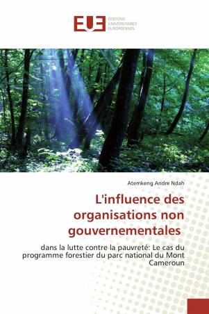 L&#039;influence des organisations non gouvernementales