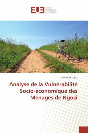 Analyse de la Vulnérabilité Socio-économique des Ménages de Ngozi