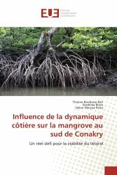 Influence de la dynamique côtière sur la mangrove au sud de Conakry