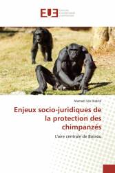 Enjeux socio-juridiques de la protection des chimpanzés