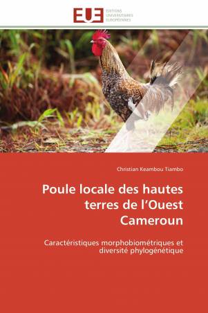 Poule locale des hautes terres de l’Ouest Cameroun