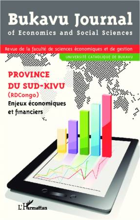 Province du Sud-Kivu (RDcongo) Enjeux économiques et financiers