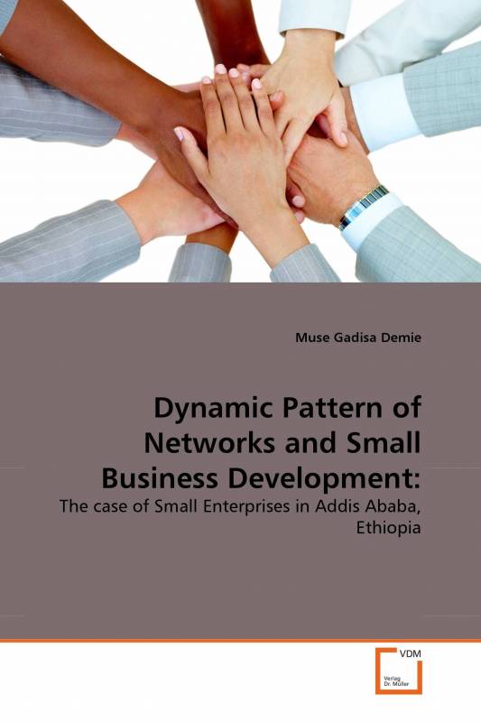 Dynamic Pattern of Networks and Small Business Development: