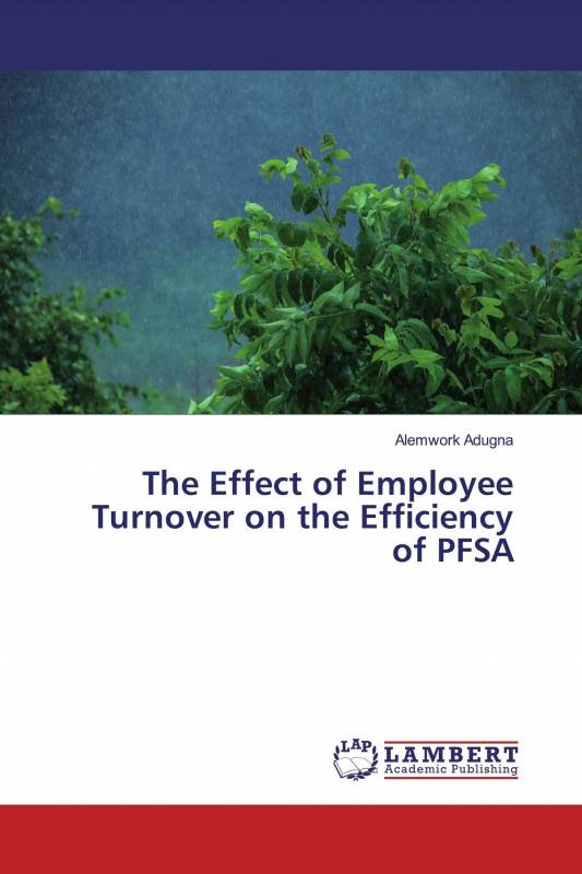 The Effect of Employee Turnover on the Efficiency of PFSA