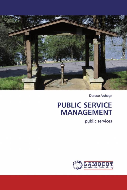 PUBLIC SERVICE MANAGEMENT