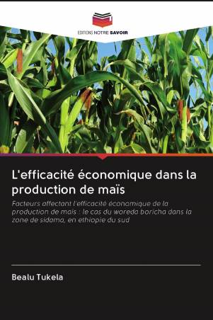L'efficacité économique dans la production de maïs