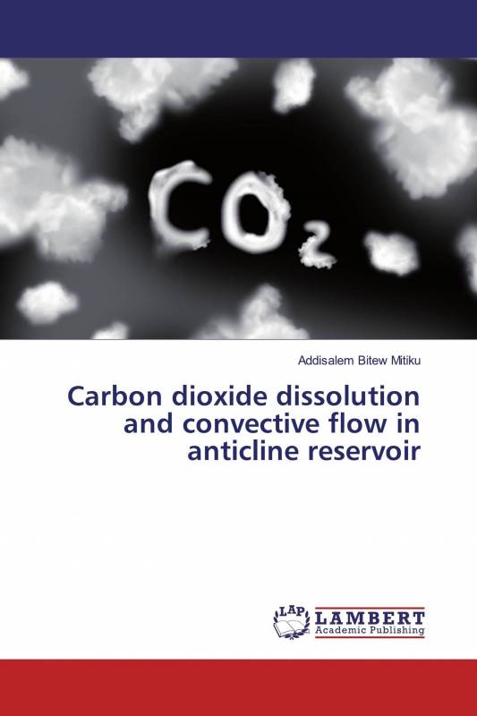 Carbon dioxide dissolution and convective flow in anticline reservoir