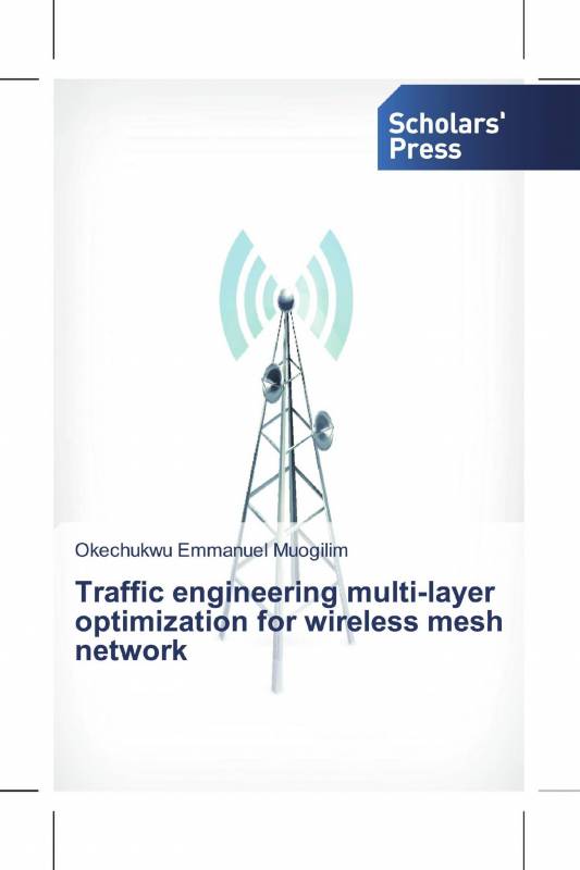 Traffic engineering multi-layer optimization for wireless mesh network