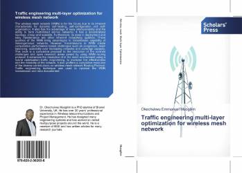 Traffic engineering multi-layer optimization for wireless mesh network