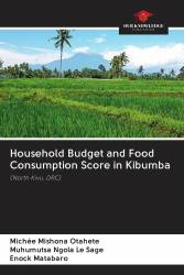 Household Budget and Food Consumption Score in Kibumba